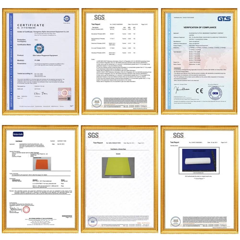 Family Indoor Playground Equipment certificate Family Indoor Playground Equipment certificate